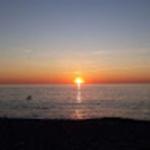 Meet your Posher, Jade